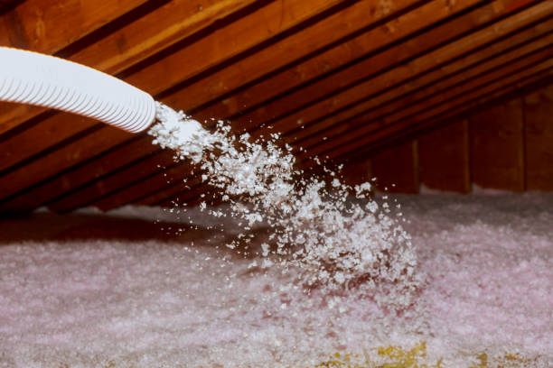 Best Cellulose Insulation in Wlowbrook, IL