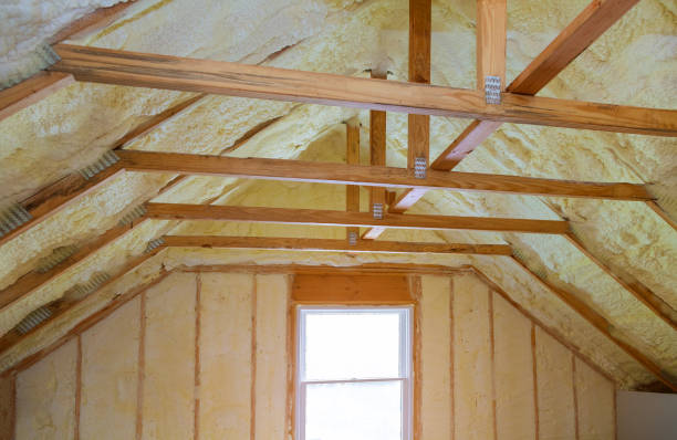 Best Residential Insulation in Wlowbrook, IL