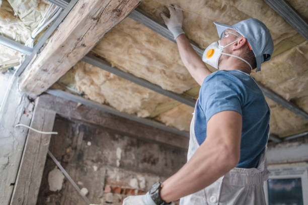 Reliable Willowbrook, IL Insulation Contractor Solutions