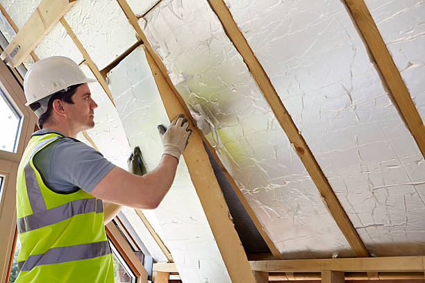 Best Specialized Insulation Services in Wlowbrook, IL